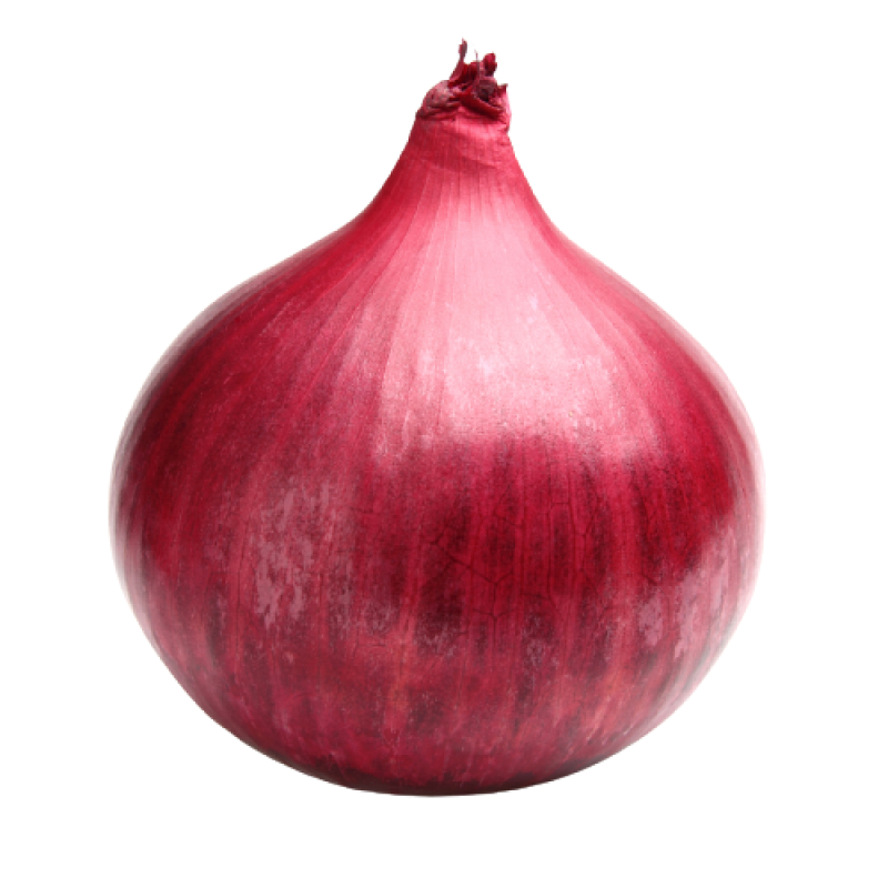 Red_Onion.png